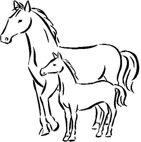 horses printable coloring pages