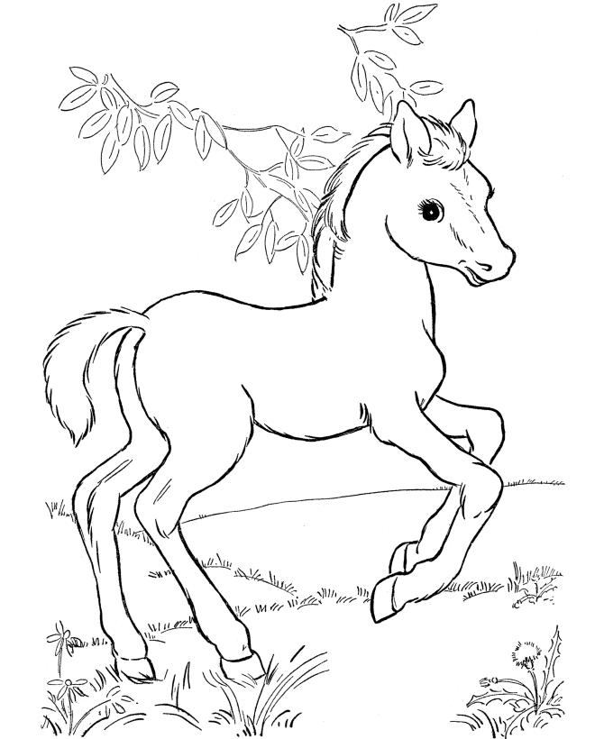 Printable coloring pages