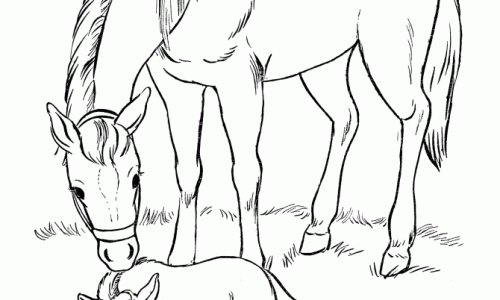 Horses printable coloring pages