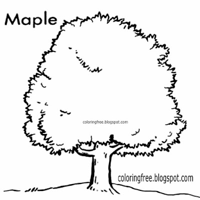 Printable easy woodland Canada coloring pictures maple tree countryside wildlife drawings with words