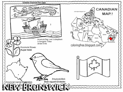 Purple violet flower countryside wildlife image Fredericton City New Brunswick Canada coloring sheet