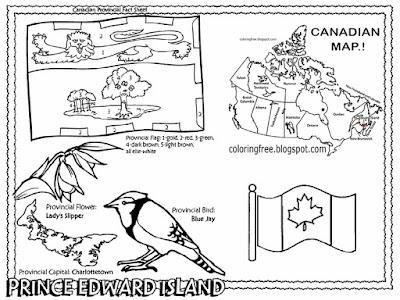 Blue jay wildlife bird Canada drawing Charlottetown City Pt. Edward Island Canadian colouring pages