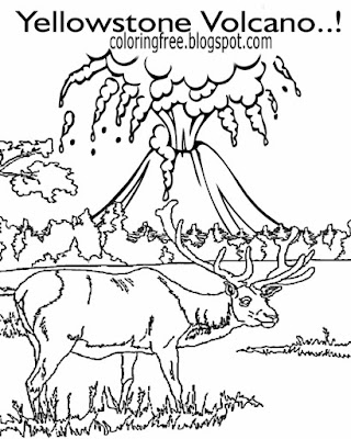 Printable moose animals scurry Mammoth mountain Yellowstone volcano eruption coloring pages for kids