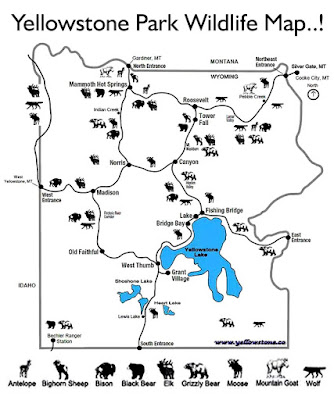 Where is Yellowstone national park map of the wildlife animal coloring pages for older children easy