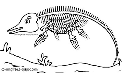 Ocean clipart water dinosaur outline skeleton easy prehistoric sea drawing for children to color in