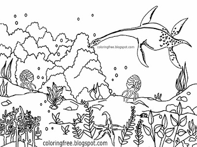Plesiosaurs long neck sea dinosaur coloring book pages Mesozoic marine reptile drawings for children