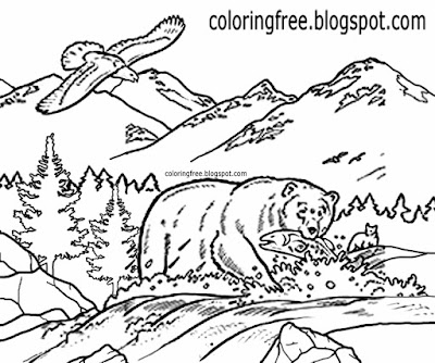 Canadian Grizzly bear fishing in a river Canada countryside wildlife coloring book page for children