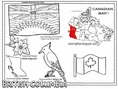 Pacific dogwood & stellar jay bird printable Victoria City British Columbia Canada coloring pictures