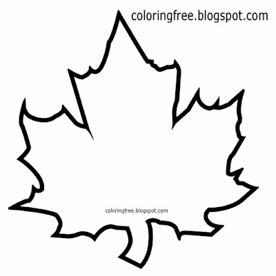 Simple tree Canadian coloring book picture maple leaf outline wildlife illustration with terminology