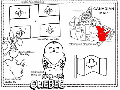 Blue flag flower and snowy owl winter wildlife creature printable City of Quebec coloring book pages