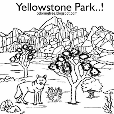 American wolf realistic printable Yellowstone national park wildlife animal coloring page for adults