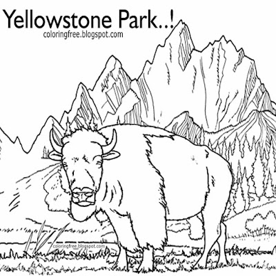 United States NP Yellowstone wildlife coloring pictures of animals in North America bison grasslands