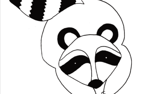 Raccoon Printable Coloring Pages or Patterns