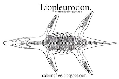 Easy oceanic coloring prehistoric drawing for children fossil dinosaur Skeleton outline Liopleurodon